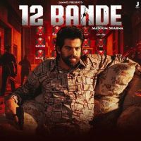 12 Bande Poster