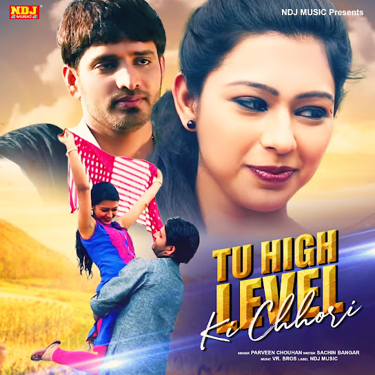 Tu High Level Ki Chhori Remix Parveen Chouhan Mp3 Song Download